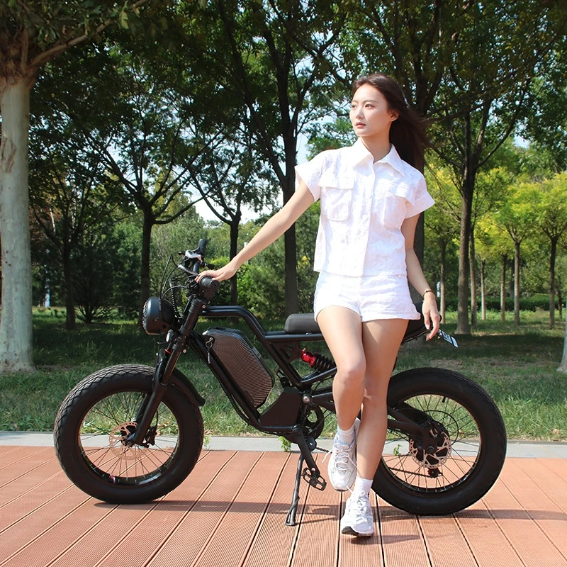 SXLL SXLL13Ah lithium batterij - 48V 1500W Rear Hub Motor With Battery recensie en prijs